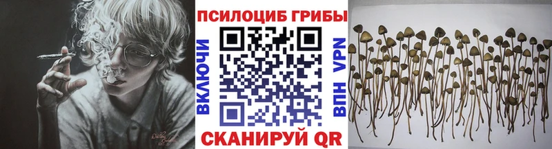 купить наркотик  Красноперекопск  Галлюциногенные грибы MAGIC MUSHROOMS 